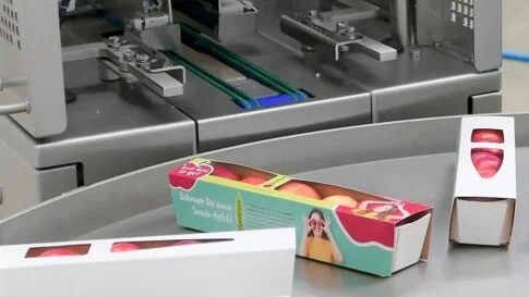 Servo gearboxes increase efficiency and dynamics in packaging machines Servo gearboxes increase efficiency and dynamics in packaging machines