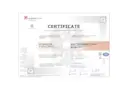 certificate-iso-9001-2015-wse-fellbach-en.pdf